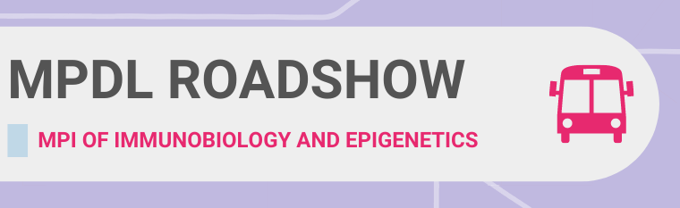 Roadshow_Banner2.png